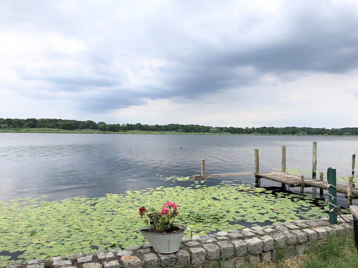 Ferienwohnung Auf Der Insel Werder  Extérieur photo